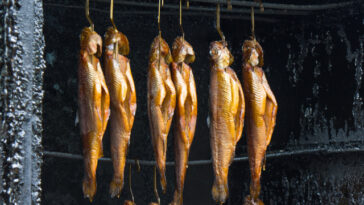 Räucherkammer mit Fisch